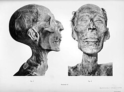 Profile and frontal views of Ramesses II's mummy