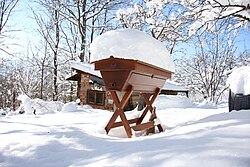 Modern top bar hive