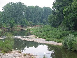 The unregulated old Neckar at Freiberg am Neckar