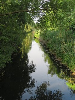 Stream with low gradient surrounded by natural riparian vegetation (Rhineland-Palatinate)