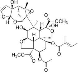 Structure of Azadirachtin, a terpenoid produced by the Neem plant, which helps ward off microbes and insects. Many secondary metabolites have complex structures