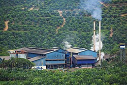A palm oil mill located on a palm oil plantation in Malaysia