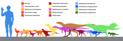 Size comparison of the non-avian dinosaurs from the lower Lujiatun Member of the Yixian Formation