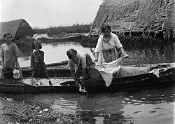 Women working at the Albufera (c. 1915)