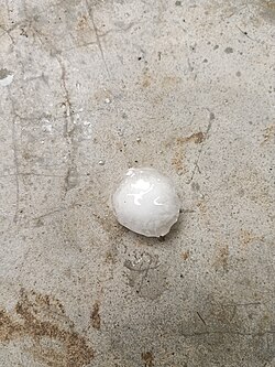 Medium size hailstone fallen at Basuki Bihari village on 29 April 2026.