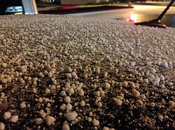 Graupel pellets in the morning, having fallen the previous day