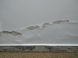 Moderate rising damp on an internal wall