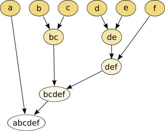 Generalized scheme of taxonomy