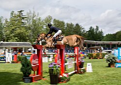 Show jumping at the Longines Global Champions, 2019