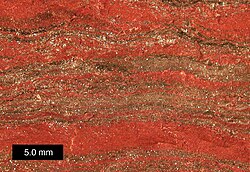 Magnified view of banded iron formation specimen from Upper Michigan. Scale bar is 5.0 mm.