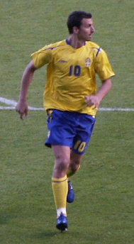 Ibrahimović playing for Sweden in June 2006