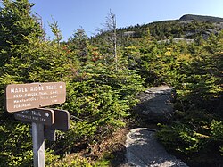 Mount Mansfield