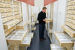 The Entomology Research Collection at Lincoln University, New Zealand, with curator John Marris