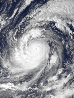 Typhoon Tip at global peak intensity on 12 October 1979