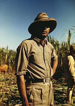 Most Puerto Rican Jíbaros were of Canarian stock.