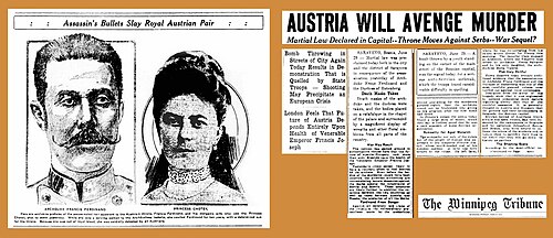 Grave implications of the assassination were immediately recognized, as in this 29 June article with subtitles "War Sequel?" and "War May Result", and stating the assassination was "engineered by persons having a more mature organizing ability than that of the youthful assassins".[9]