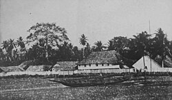 Woermann-Linie factory in Cameroon. From the 1830s, German shipping participated in trade with Africa and established factories there. From the 1850s, trade and plantation agriculture were undertaken by German companies in the South Seas. Some of these economic enterprises eventually formed the basis for the regions' conversion into German colonies.[15]