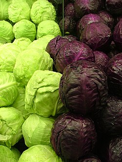 Green and purple cabbages