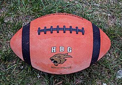 An American football.