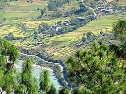 Rice terraces in one of Bhutan's fertile valleys