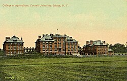 Stone Hall, Roberts Hall, and East Roberts Hall were the first buildings of the New York State College of Agriculture