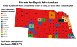 Largest Non-Hispanic Native American ancestry by county and numbers of people reporting "Native American Alone"