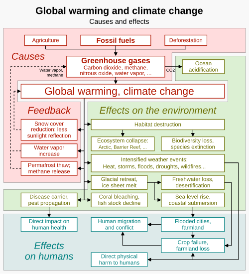 The primary causes[5] and the wide-ranging impacts[6][7][3]: 3–36 of climate change. Some effects act as positive feedbacks that amplify climate change.[8]