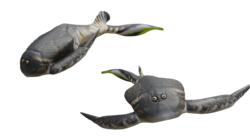 Bothriolepis canadensis