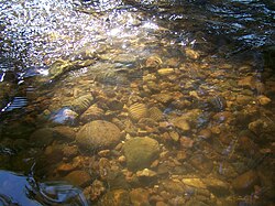 Australian creek, low in the dry season, carrying little water. The energetic flow of the stream had, in flood, moved finer sediment further downstream. There is a pool to lower right and a riffle to upper left of the photograph.