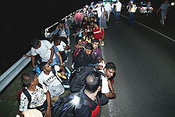Migrants along the Balkan route crossing from Serbia into Hungary, 24 August 2015