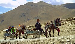 Horses pulling wagons in Tibet