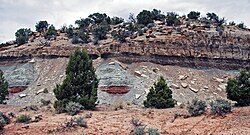 Tidwell Member of the Morrison Formation (Upper Jurassic), Colorado