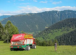 Harvesting hay on the Swiss Alps