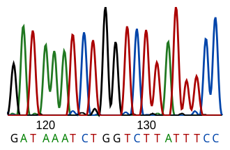 Electropherogram printout from automated sequencer for determining part of a DNA sequence