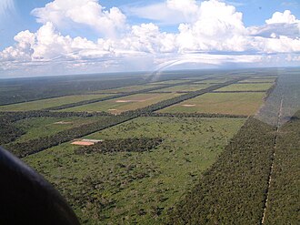 Deforestation for cattle farming in the Paraguayan part of the Chaco