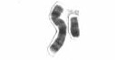 Human male XY chromosomes after G-banding