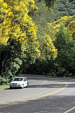 BR-116 Highway in Ivoti