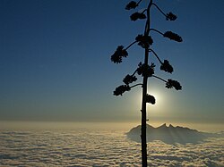 Cloud layer over Monterrey