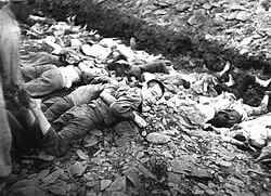 Political prisoners lie on the ground before execution by South Korean troops near Daejeon, South Korea.[162]