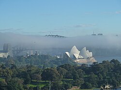 Advection fog over Sydney Harbour and the Sydney Opera House, Australia