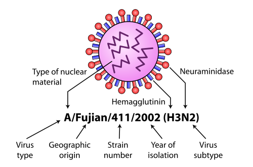 Influenza virus nomenclature (for a Fujian flu virus)