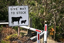 This Australian road sign uses the less common term "stock" for livestock.