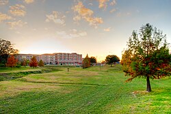 View of the Lofts at Wolf Pen Creek in College Station