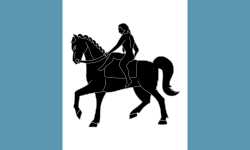 Coventry flag