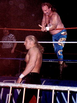 Roberts and Hunter Hearst Helmsley in 1996