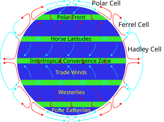 A diagram showing the relative positions of the horse latitudes