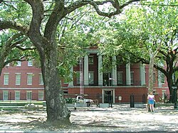 The Ionic-columned portico of the New Orleans Mint building's façade in June 2005, seen from across Esplanade Avenue. The trees along the street in front of the Mint have grown tall, such that it is very difficult to obtain a good photograph of the old mint's façade today.