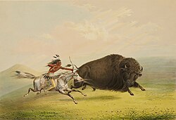 A bison hunt depicted in a painting by George Catlin (1844)