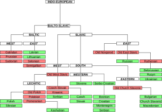 Balto-Slavic languages.