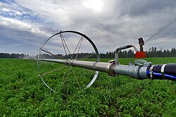 An alfalfa farm in Montana implementing an Irrigation Water Management Plan with assistance from the Environmental Quality Incentives Program